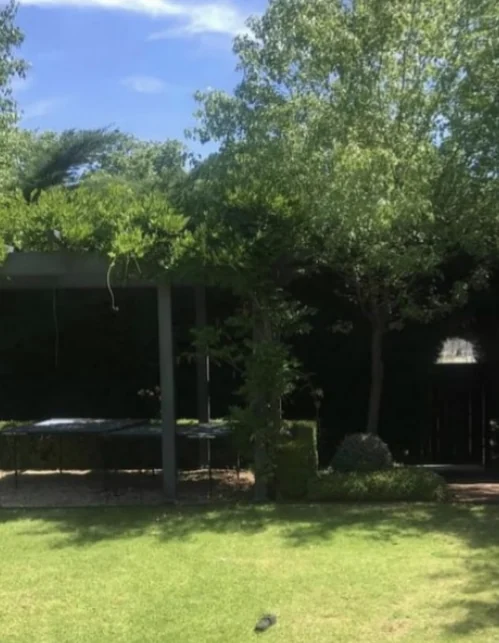 Original backyard with lawn and trees, shown in Valley’s supplied before and after post