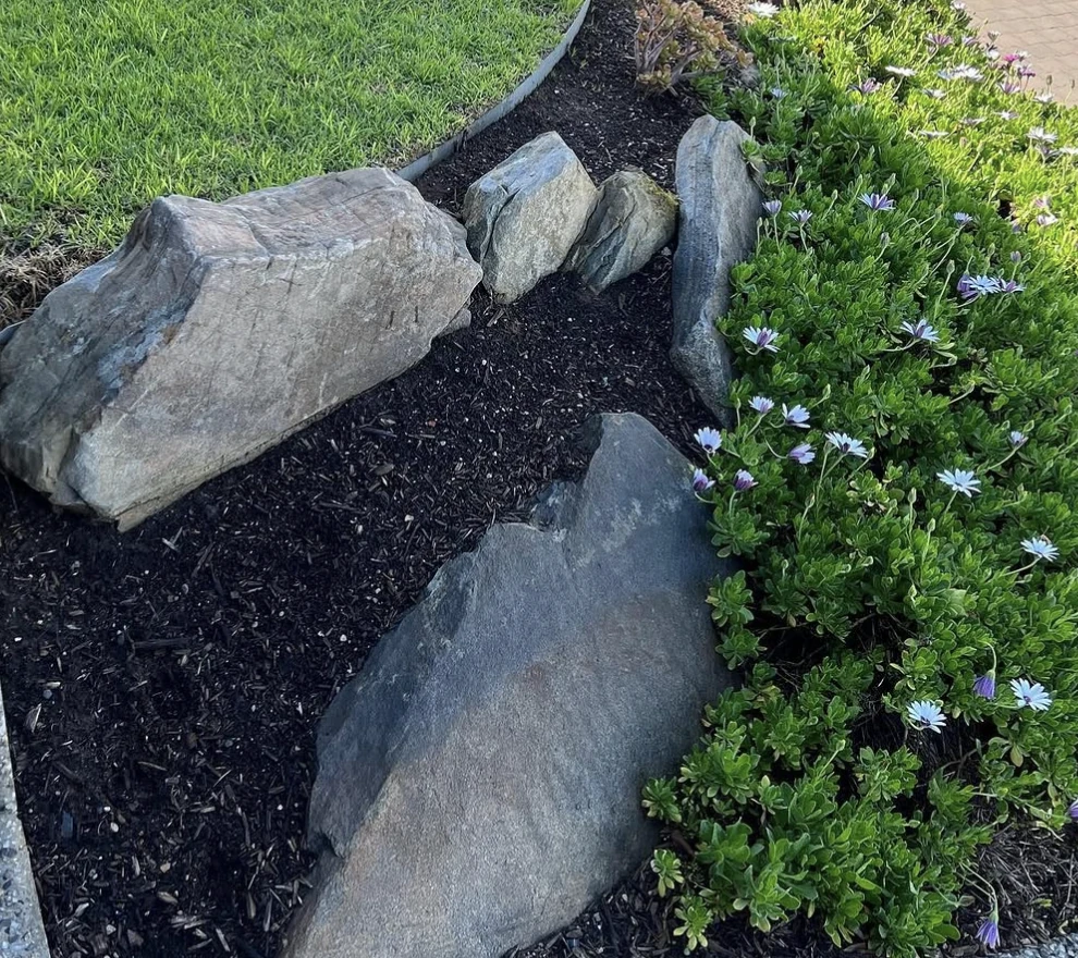 Natural boulder edging with established lawn and planting